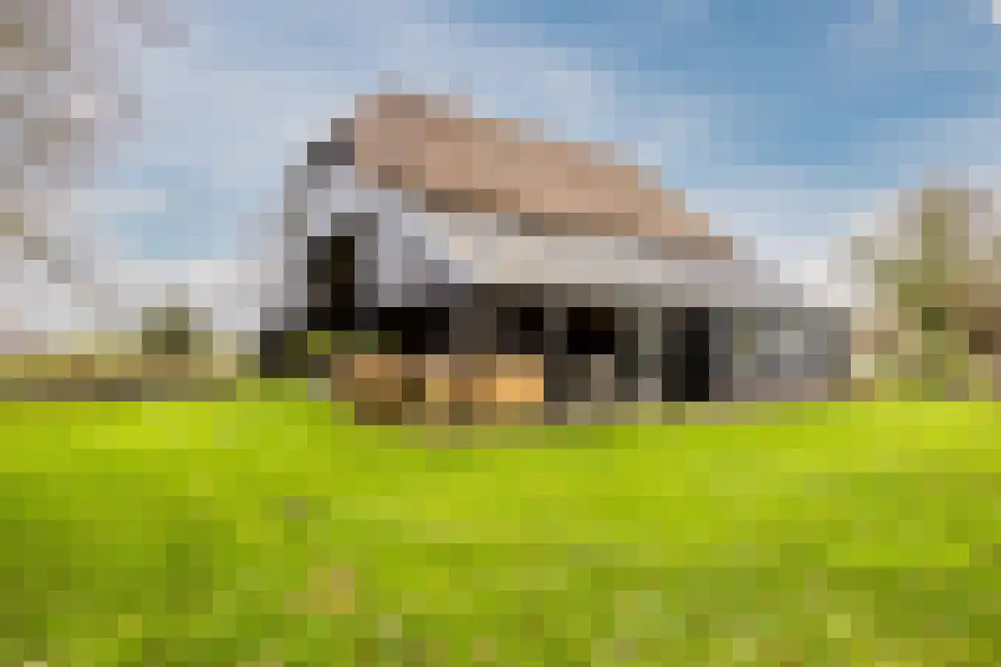 Binnenpad 44 Giethoorn thumbnail 52
