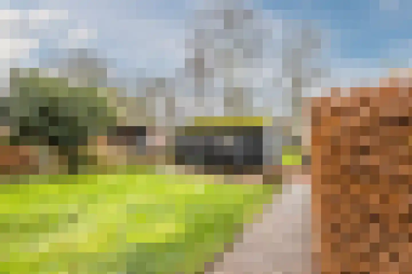Binnenpad 44 Giethoorn thumbnail 55