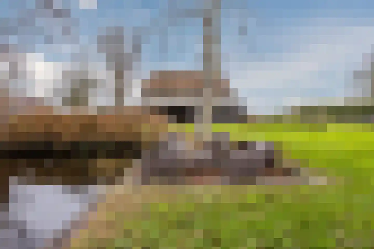 Binnenpad 44 Giethoorn thumbnail 58
