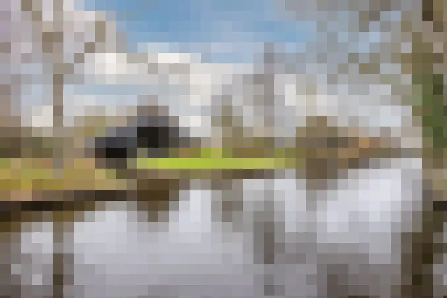 Binnenpad 44 Giethoorn thumbnail 64