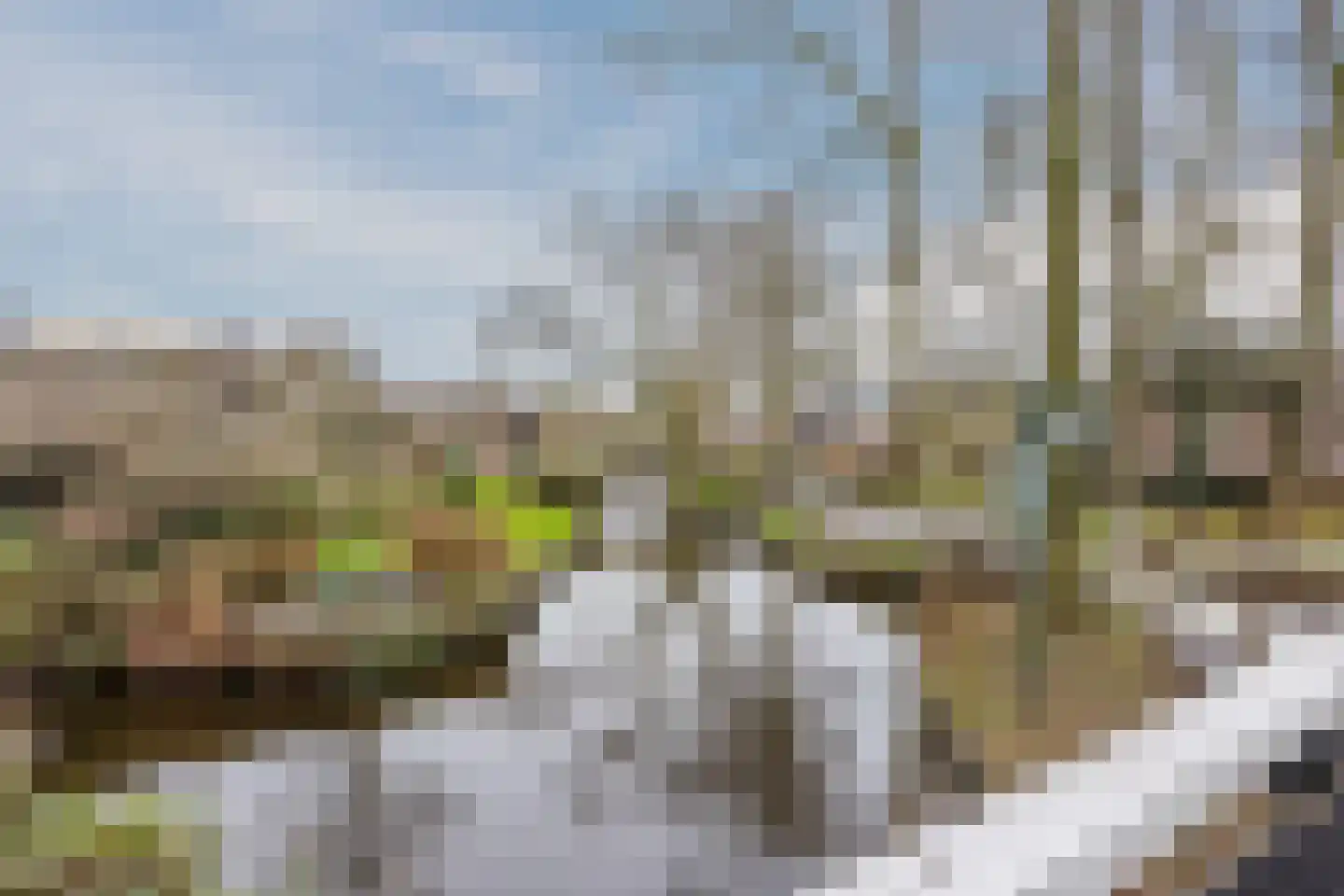 Binnenpad 44 Giethoorn thumbnail 65