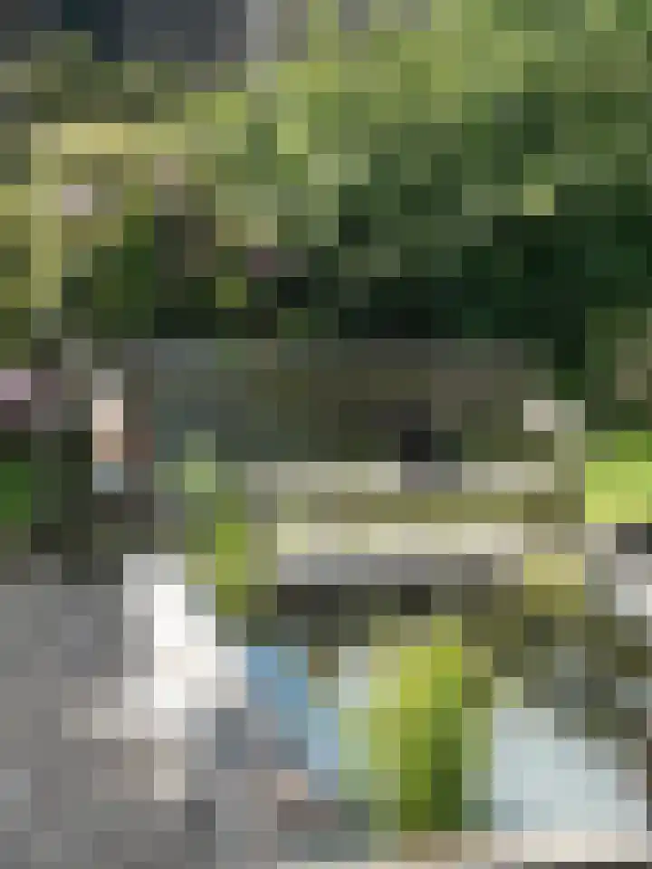 Binnenpad 44 Giethoorn thumbnail 68