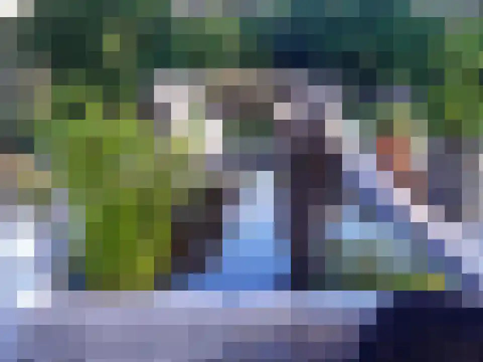 Binnenpad 44 Giethoorn thumbnail 72