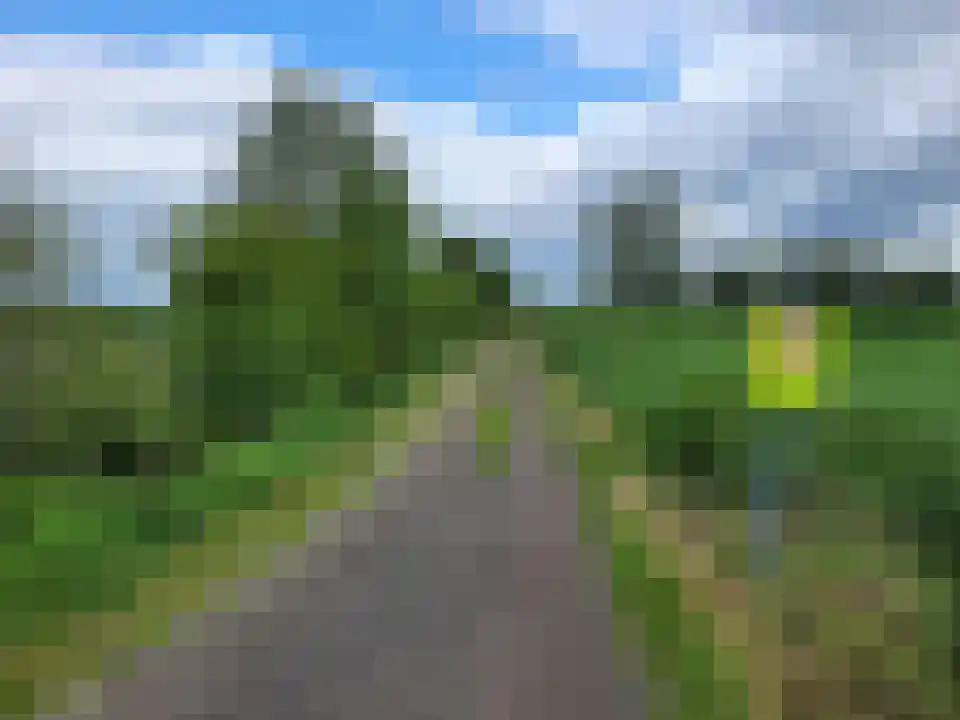 Binnenpad 44 Giethoorn thumbnail 78