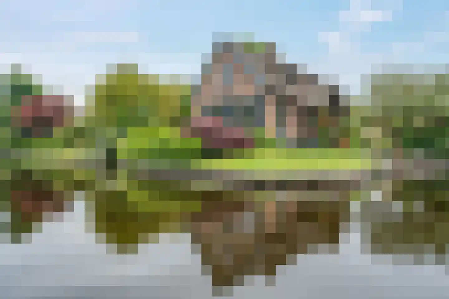Binnenpad 45 Giethoorn