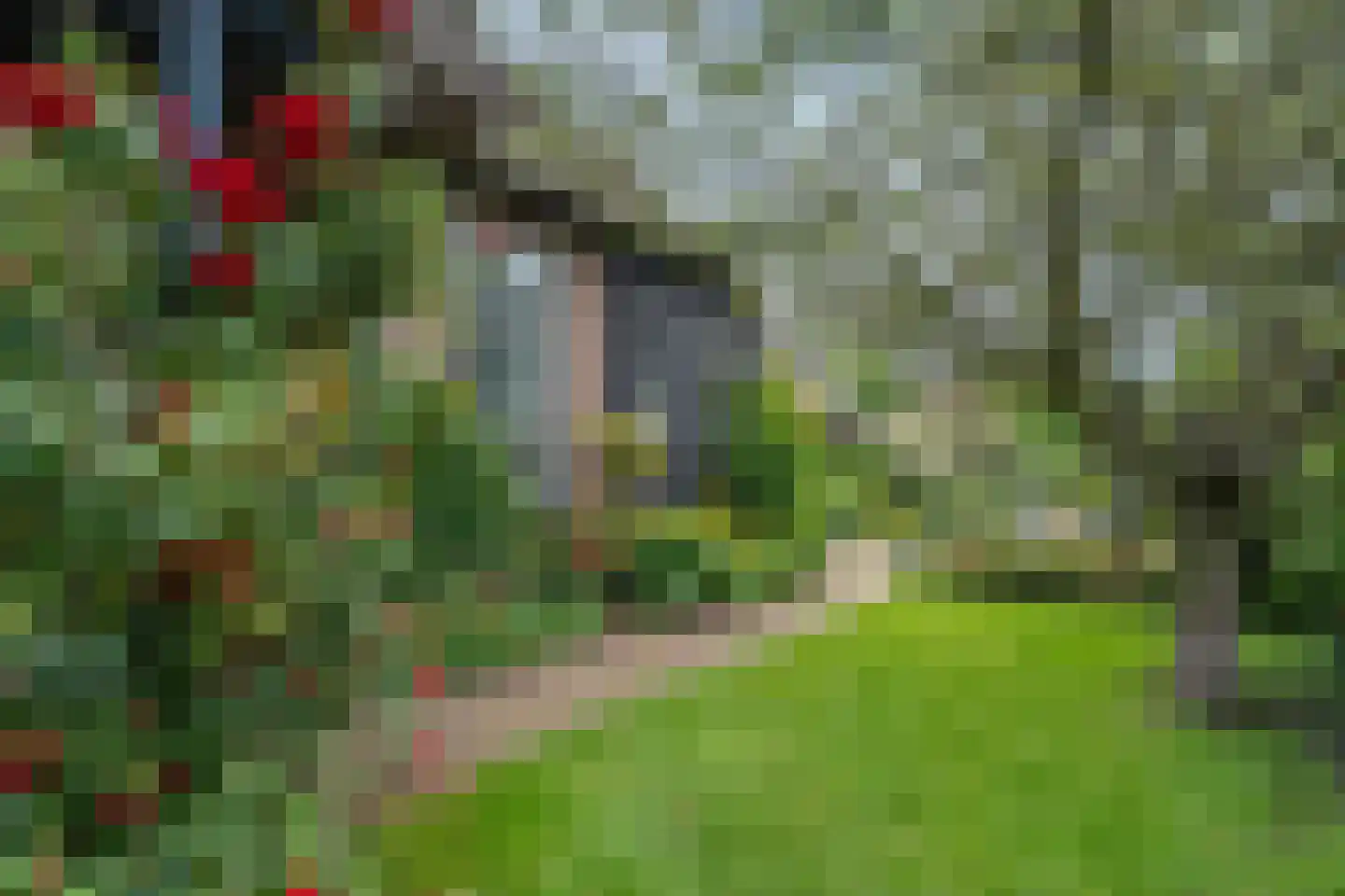 Binnenpad 45 Giethoorn thumbnail 13