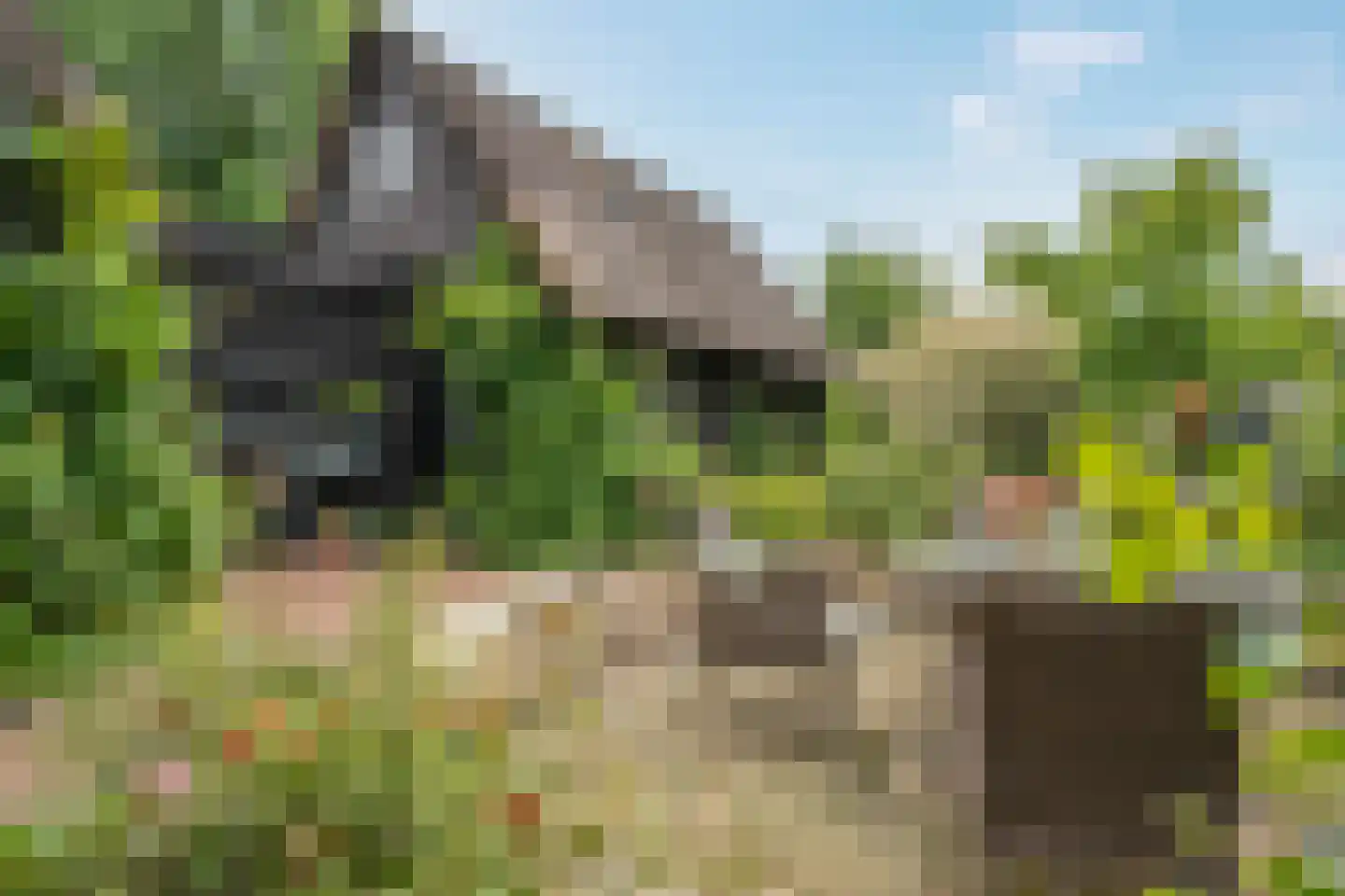 Binnenpad 45 Giethoorn thumbnail 17