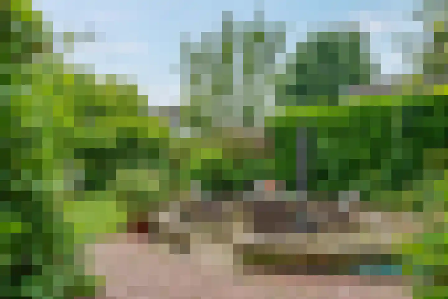 Binnenpad 45 Giethoorn thumbnail 18