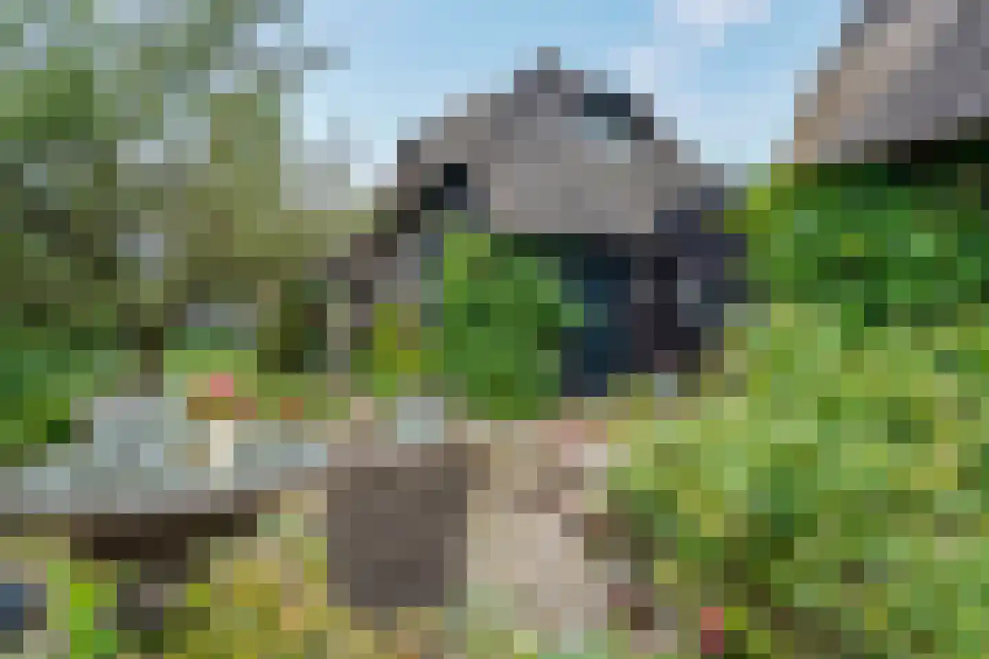 Binnenpad 45 Giethoorn thumbnail 20
