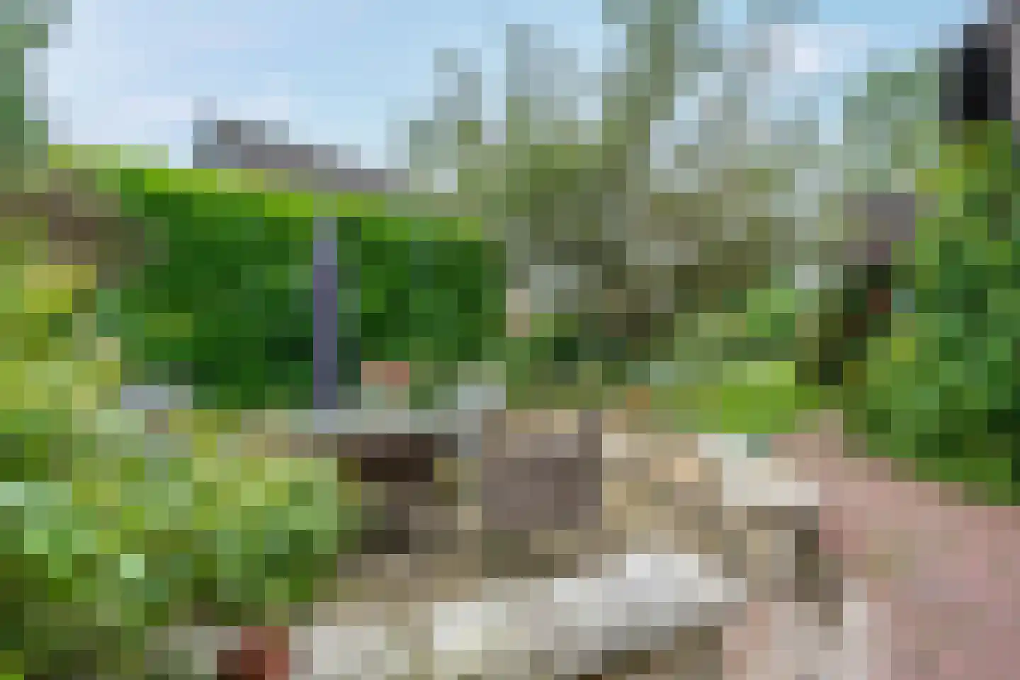 Binnenpad 45 Giethoorn thumbnail 21