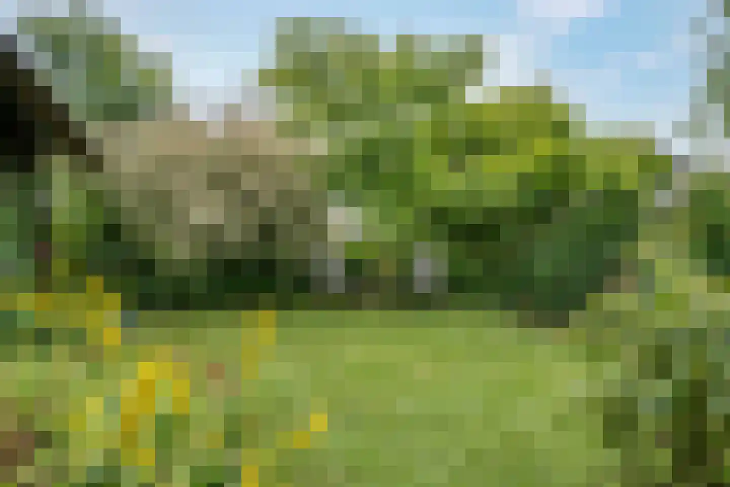 Binnenpad 45 Giethoorn thumbnail 22