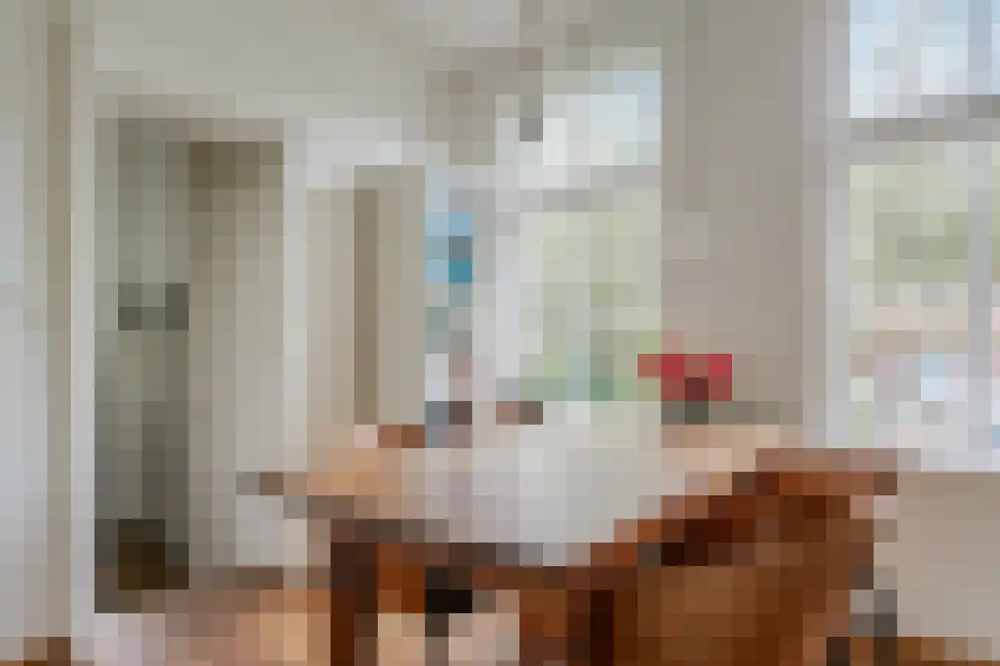 Binnenpad 45 Giethoorn thumbnail 42