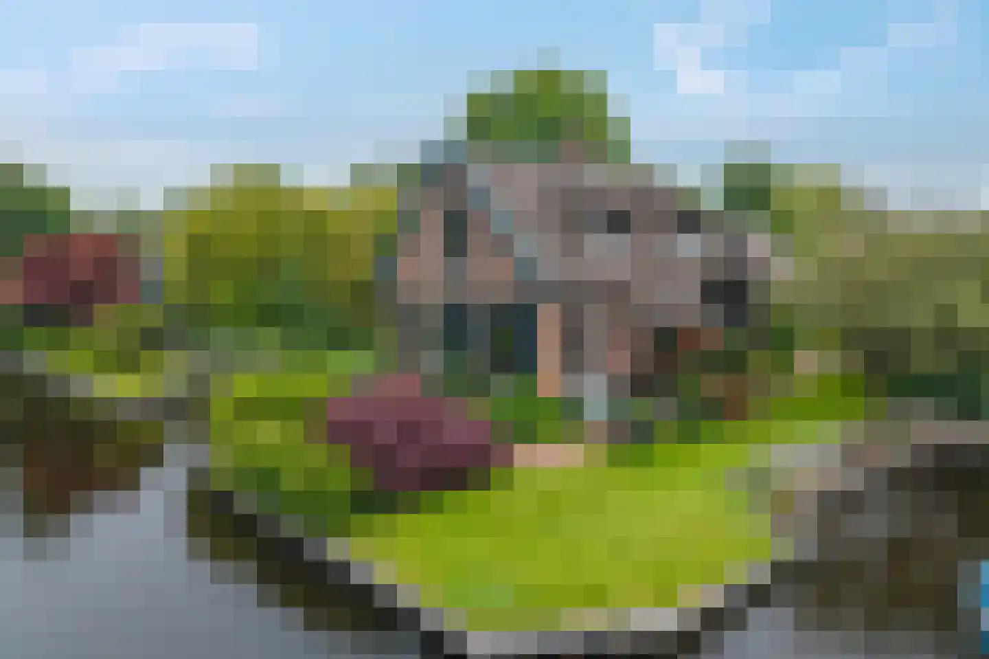 Binnenpad 45 Giethoorn thumbnail 55