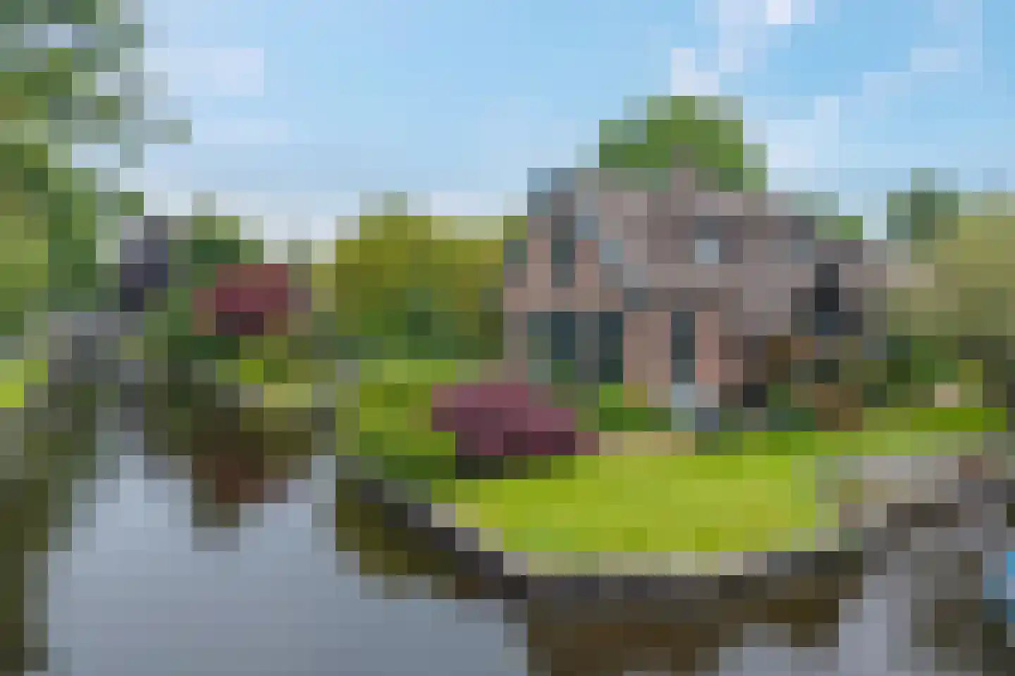 Binnenpad 45 Giethoorn thumbnail 56