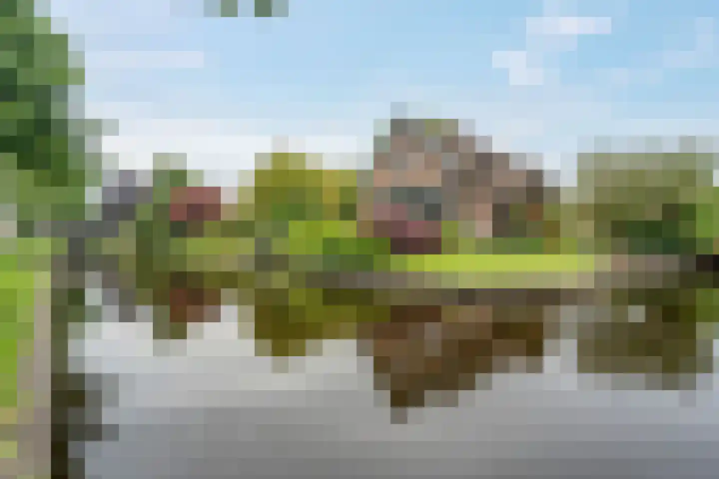 Binnenpad 45 Giethoorn thumbnail 69