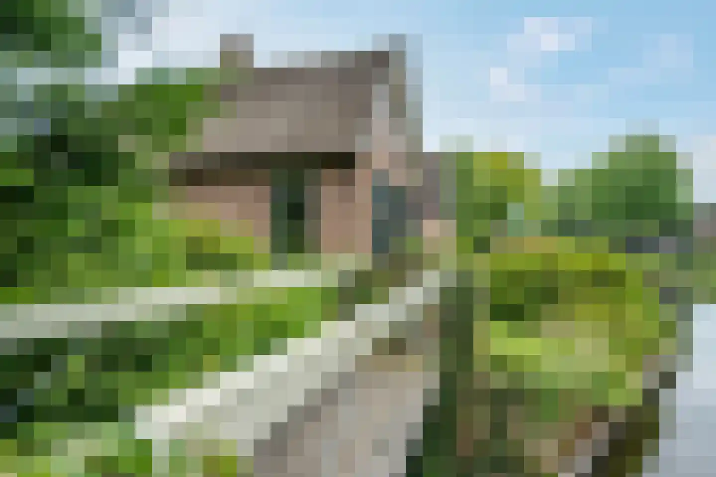 Binnenpad 45 Giethoorn thumbnail 7