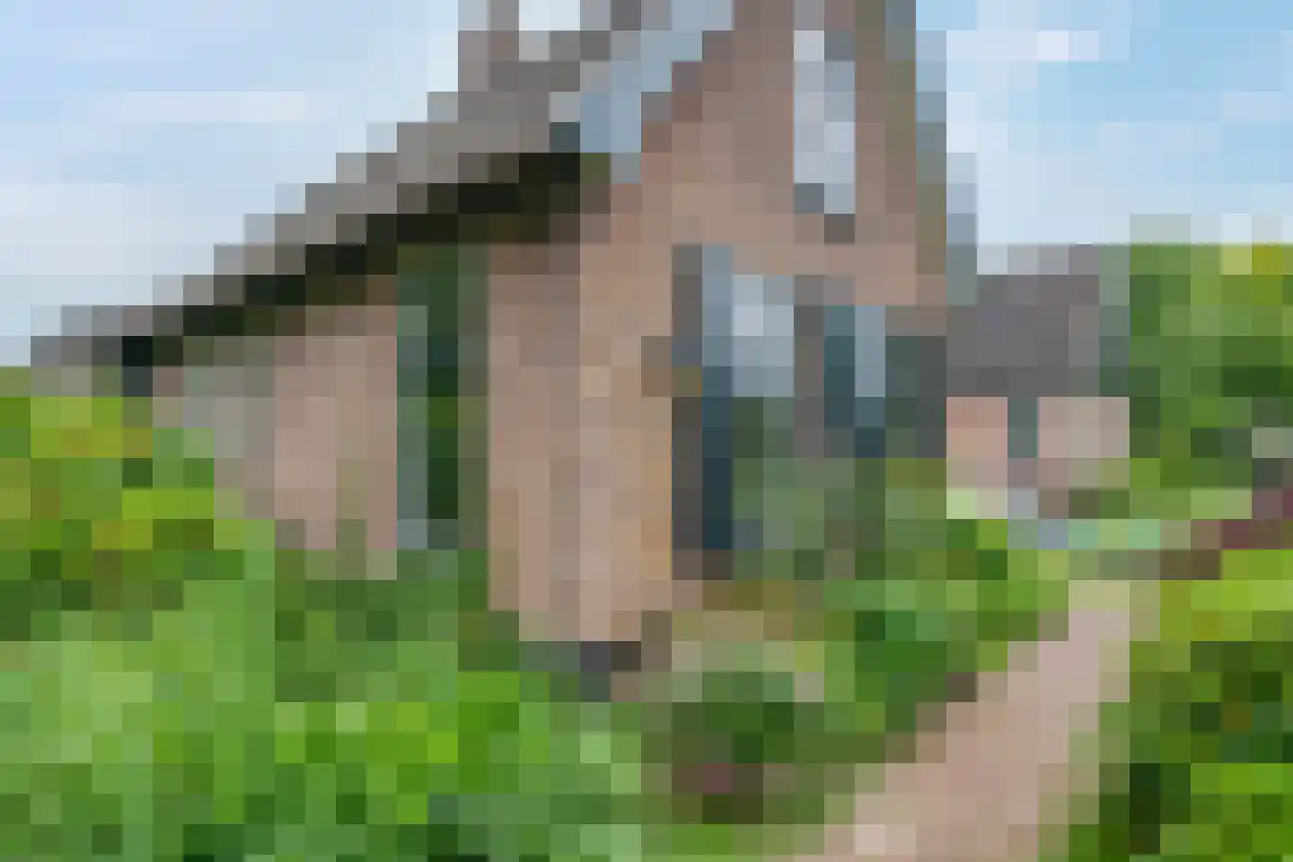 Binnenpad 45 Giethoorn thumbnail 8