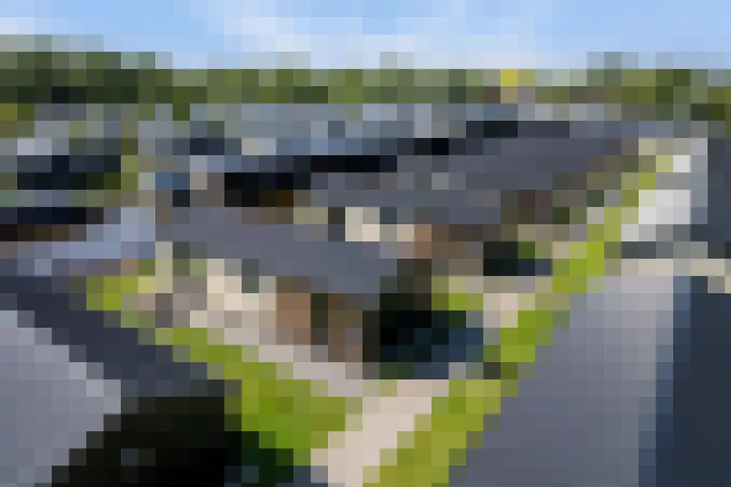 Binnenpad 47 B R74 Giethoorn thumbnail 26