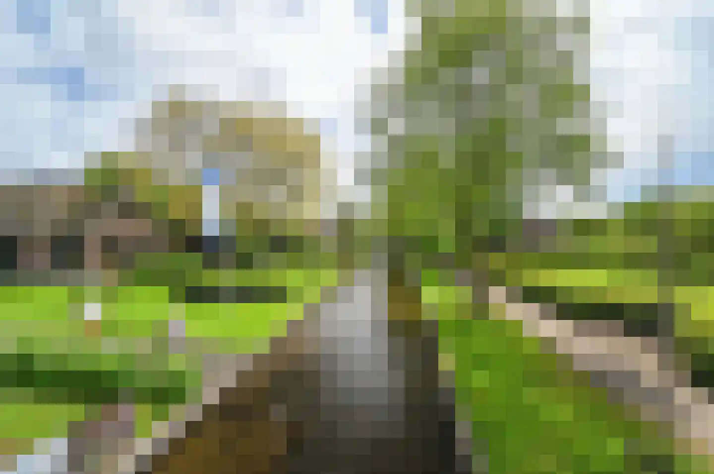 Binnenpad 49 54 Giethoorn thumbnail 23