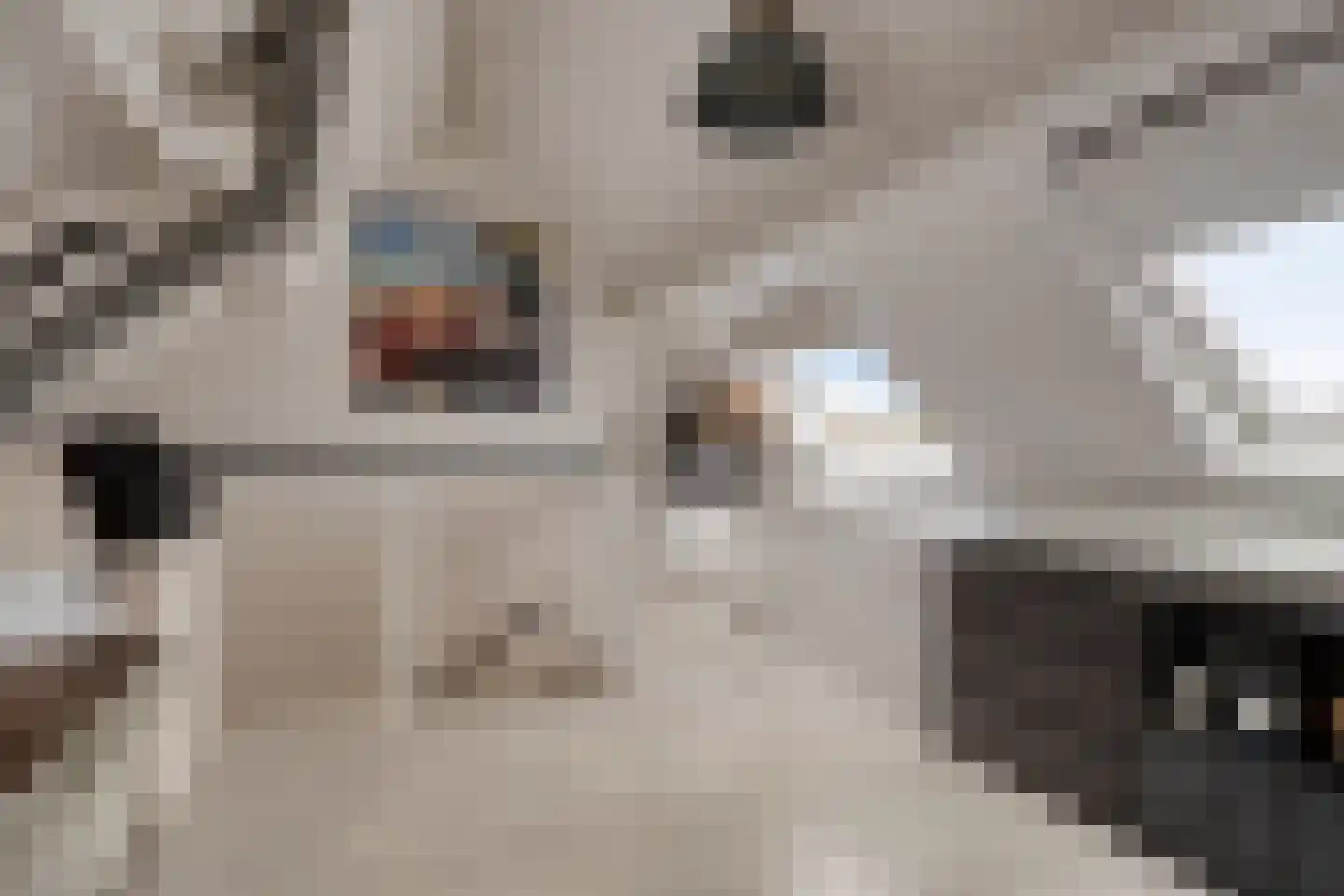 Binnenpad 52 Oud-Beijerland thumbnail 18