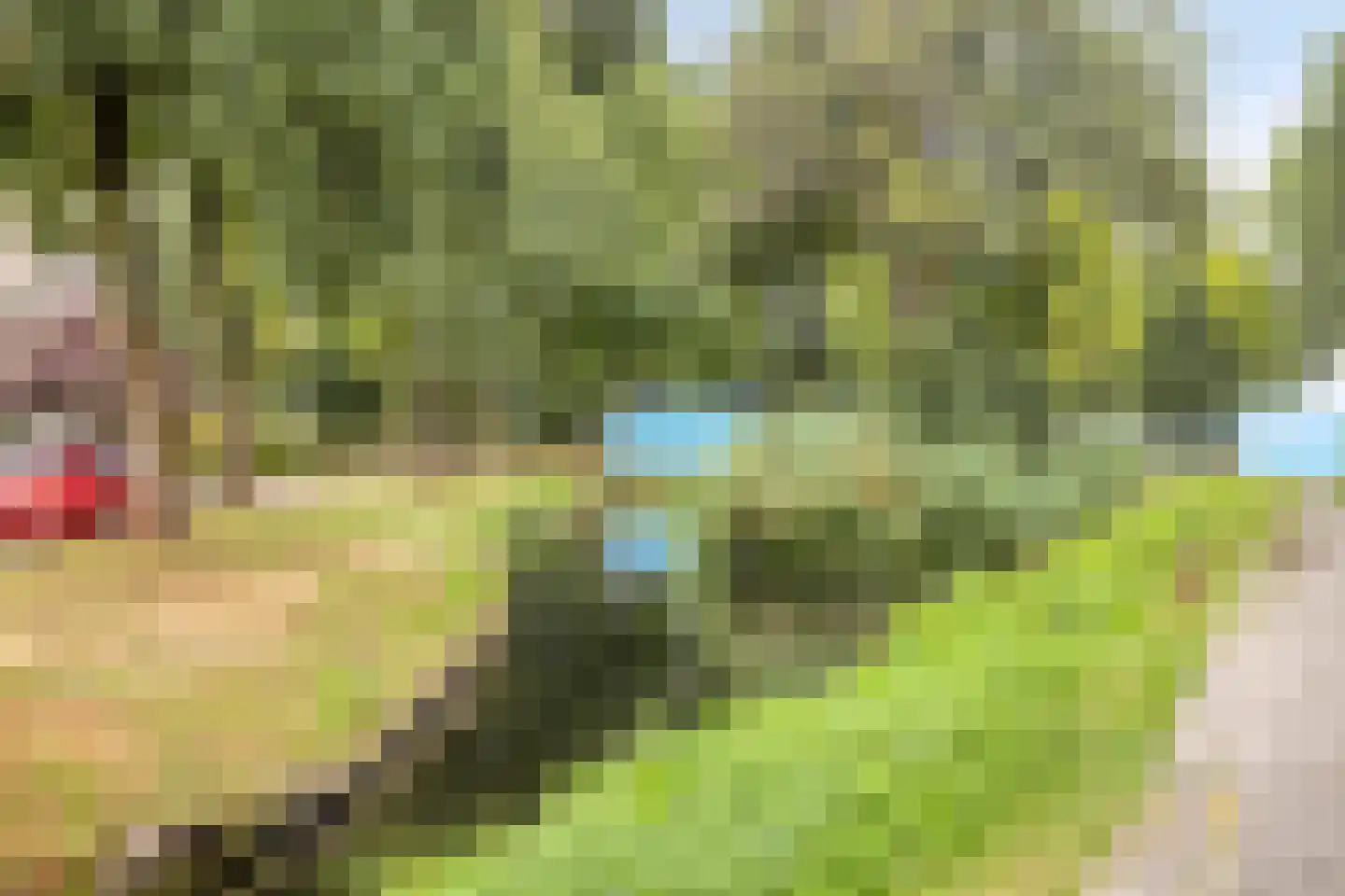 Binnenpad 52 Oud-Beijerland thumbnail 26