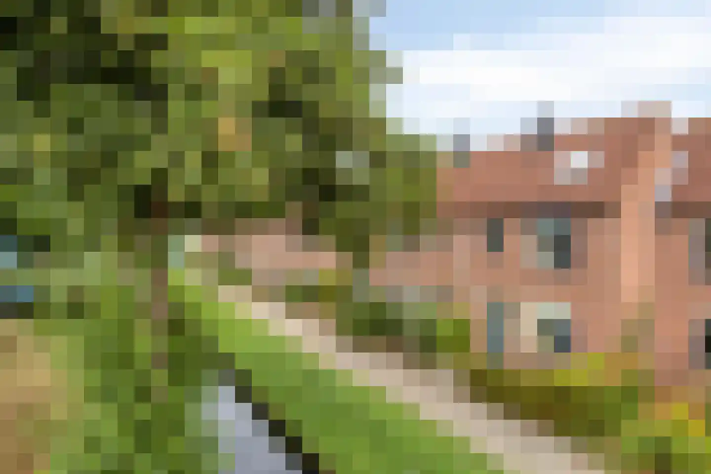 Binnenpad 52 Oud-Beijerland thumbnail 30