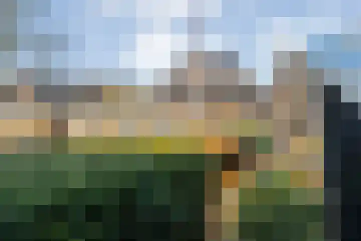 Binnenpad 75 a Giethoorn thumbnail 54