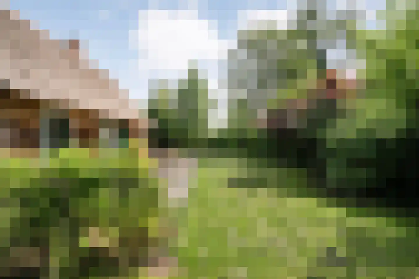 Binnenpad 75 g Giethoorn thumbnail 10