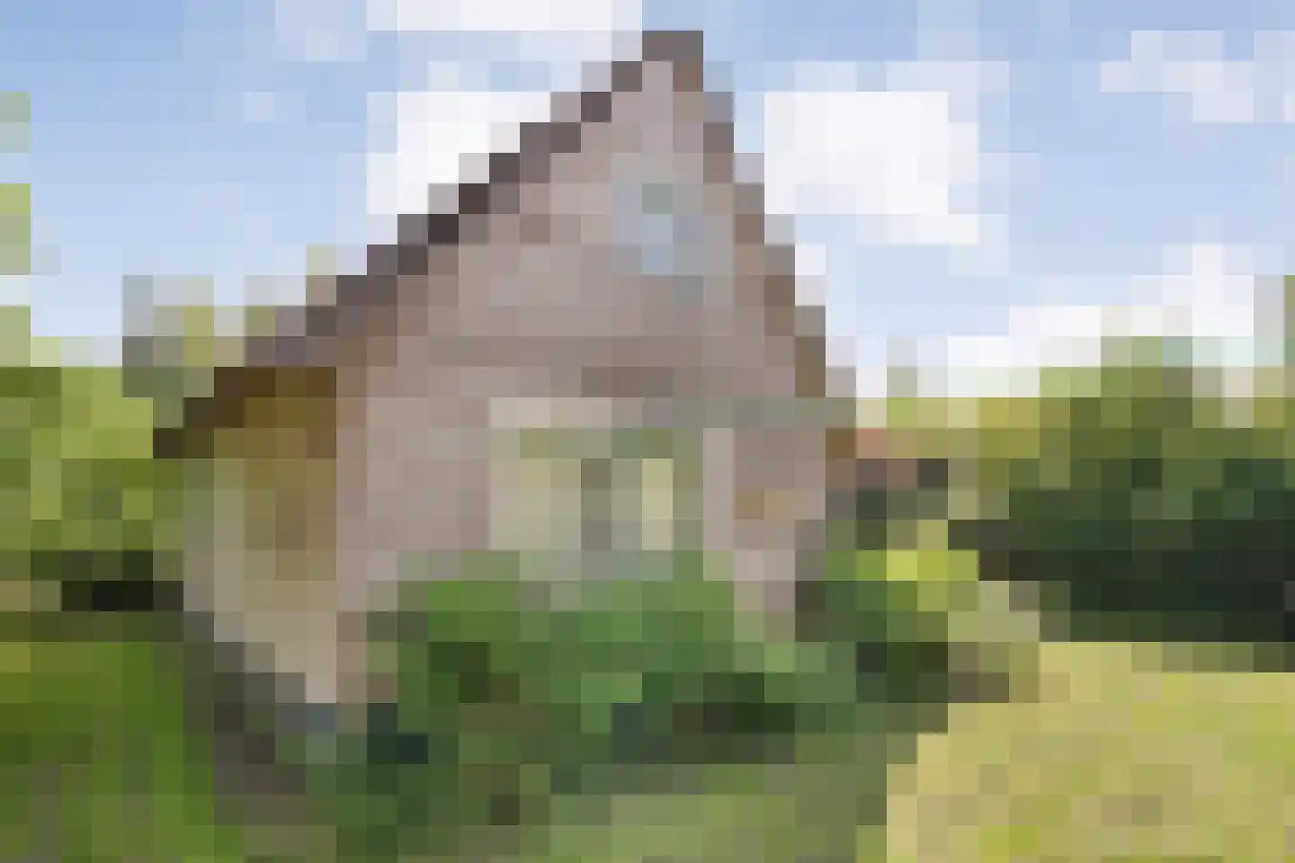 Binnenpad 75 g Giethoorn thumbnail 30