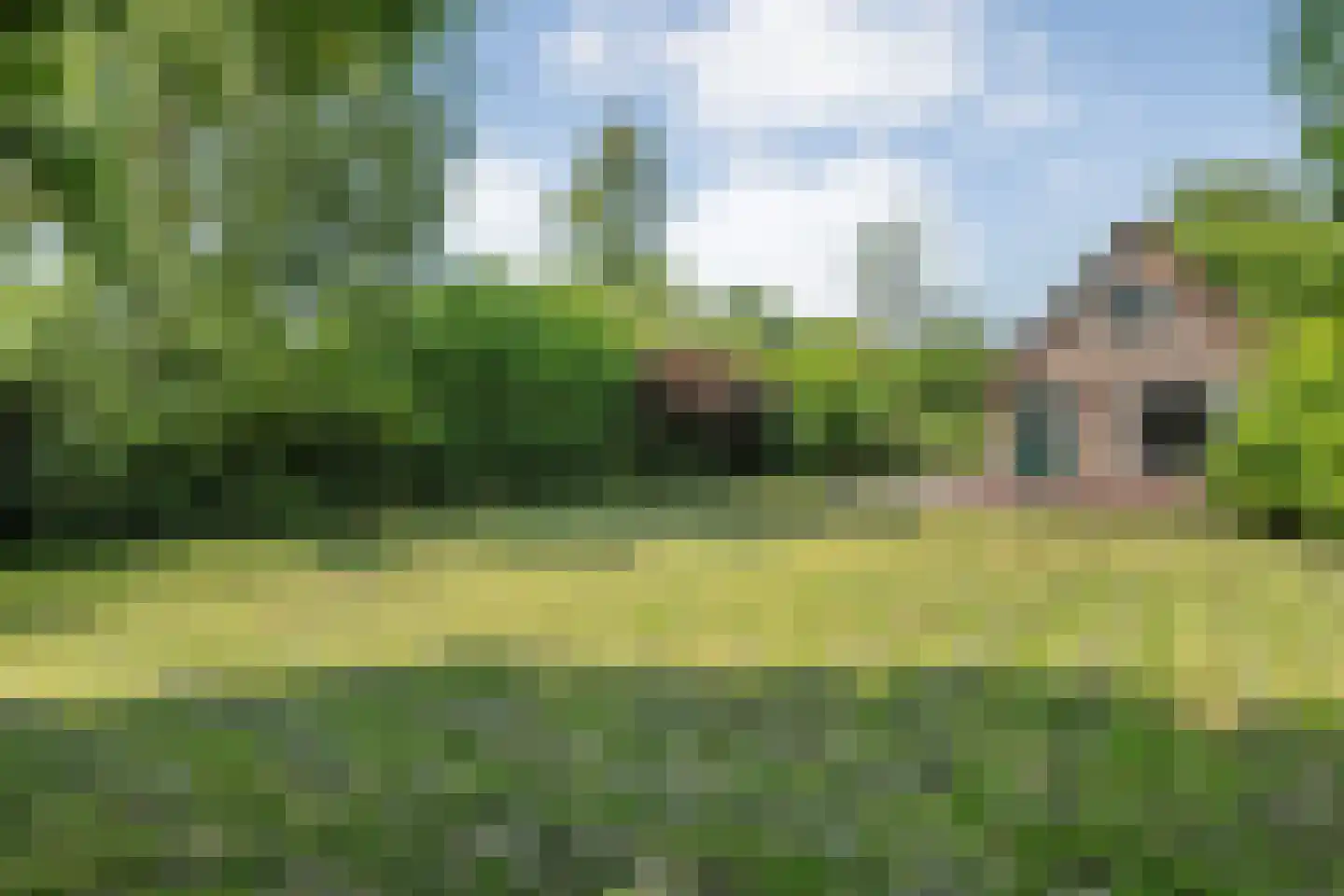 Binnenpad 75 g Giethoorn thumbnail 31