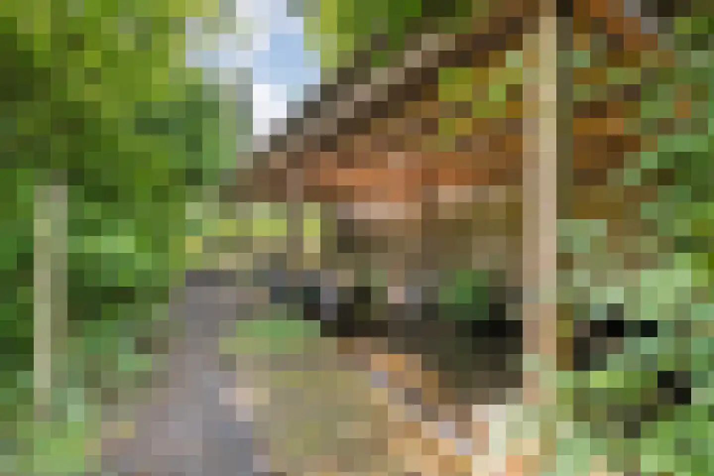 Binnenpad 75 g Giethoorn thumbnail 36
