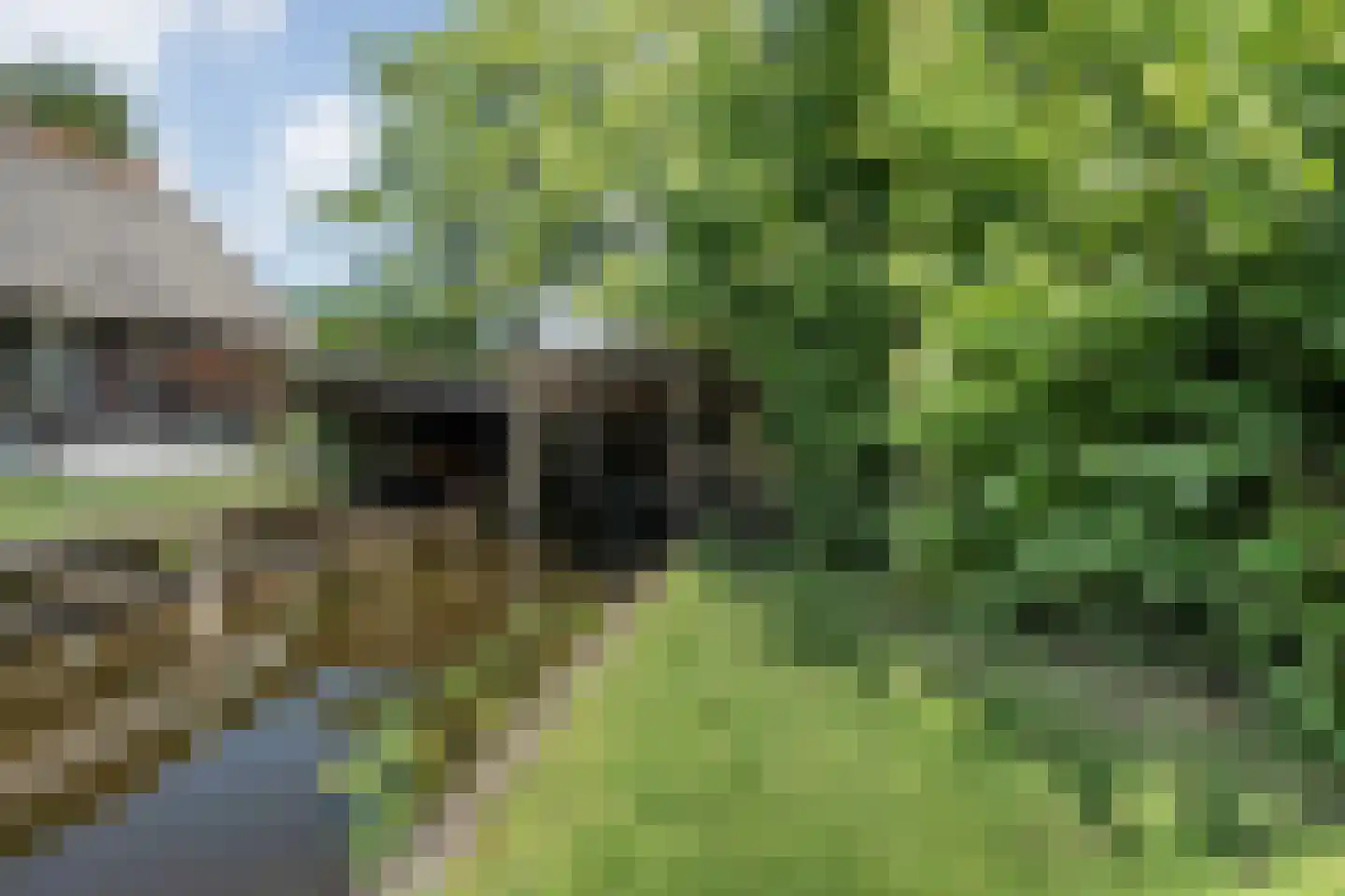 Binnenpad 75 g Giethoorn thumbnail 37