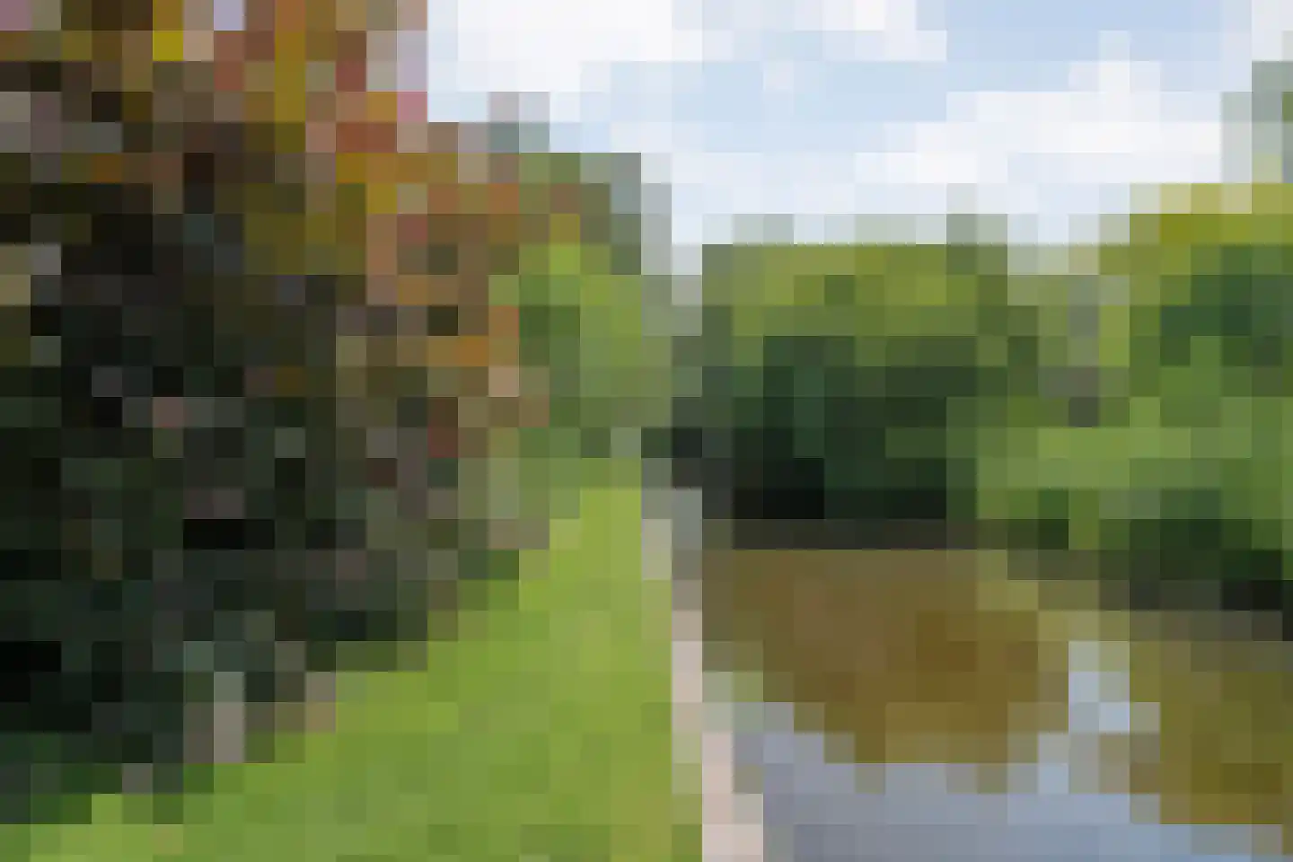 Binnenpad 75 g Giethoorn thumbnail 5