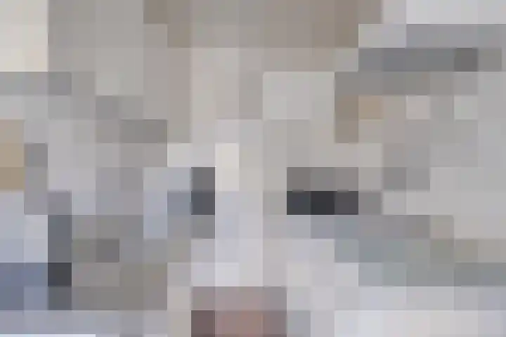 Binnenpad 8 Sprundel thumbnail 10
