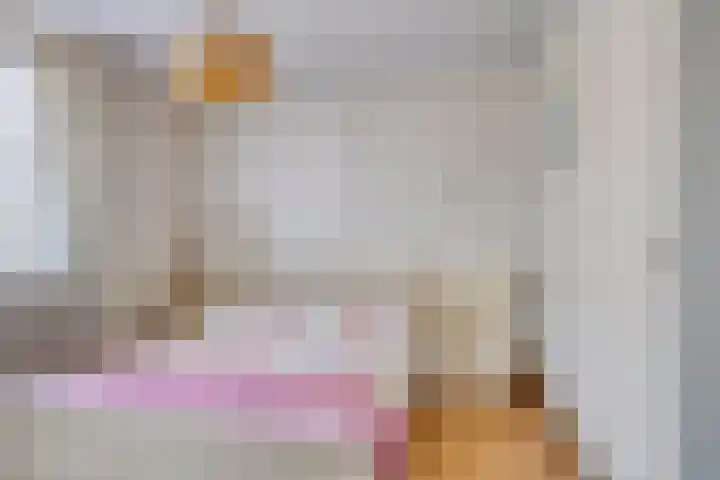 Binnenpad 8 Sprundel thumbnail 13