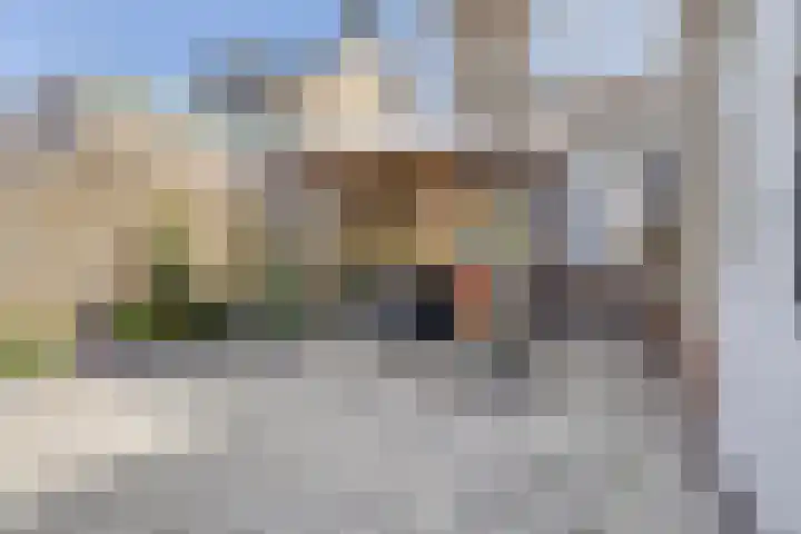 Binnenpad 8 Sprundel thumbnail 23