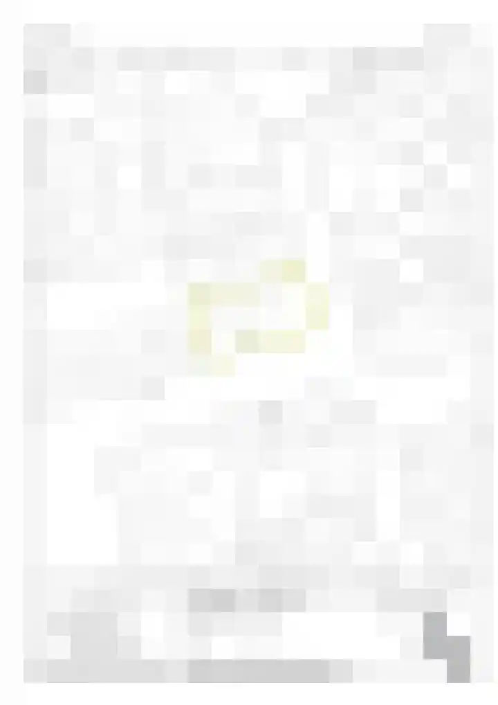 Binnenpad 8 Sprundel thumbnail 32