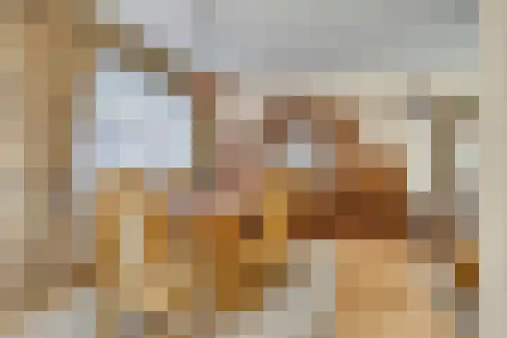 Binnenpad 8 Sprundel thumbnail 5