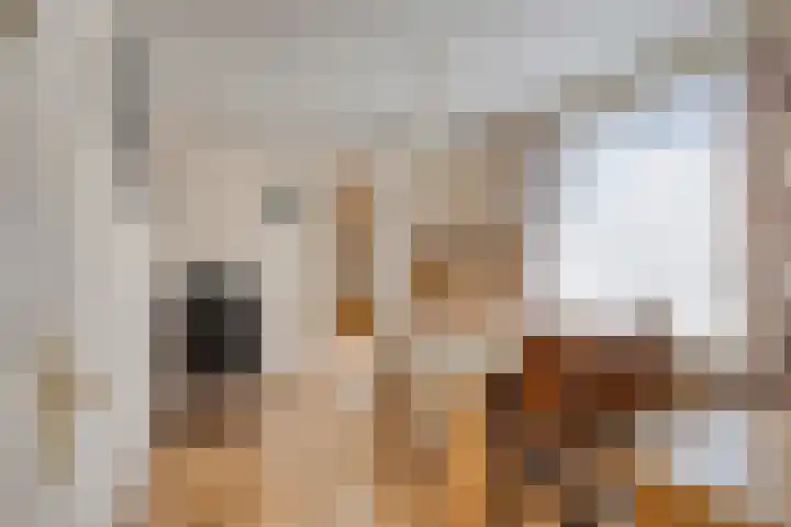 Binnenpad 8 Sprundel thumbnail 9