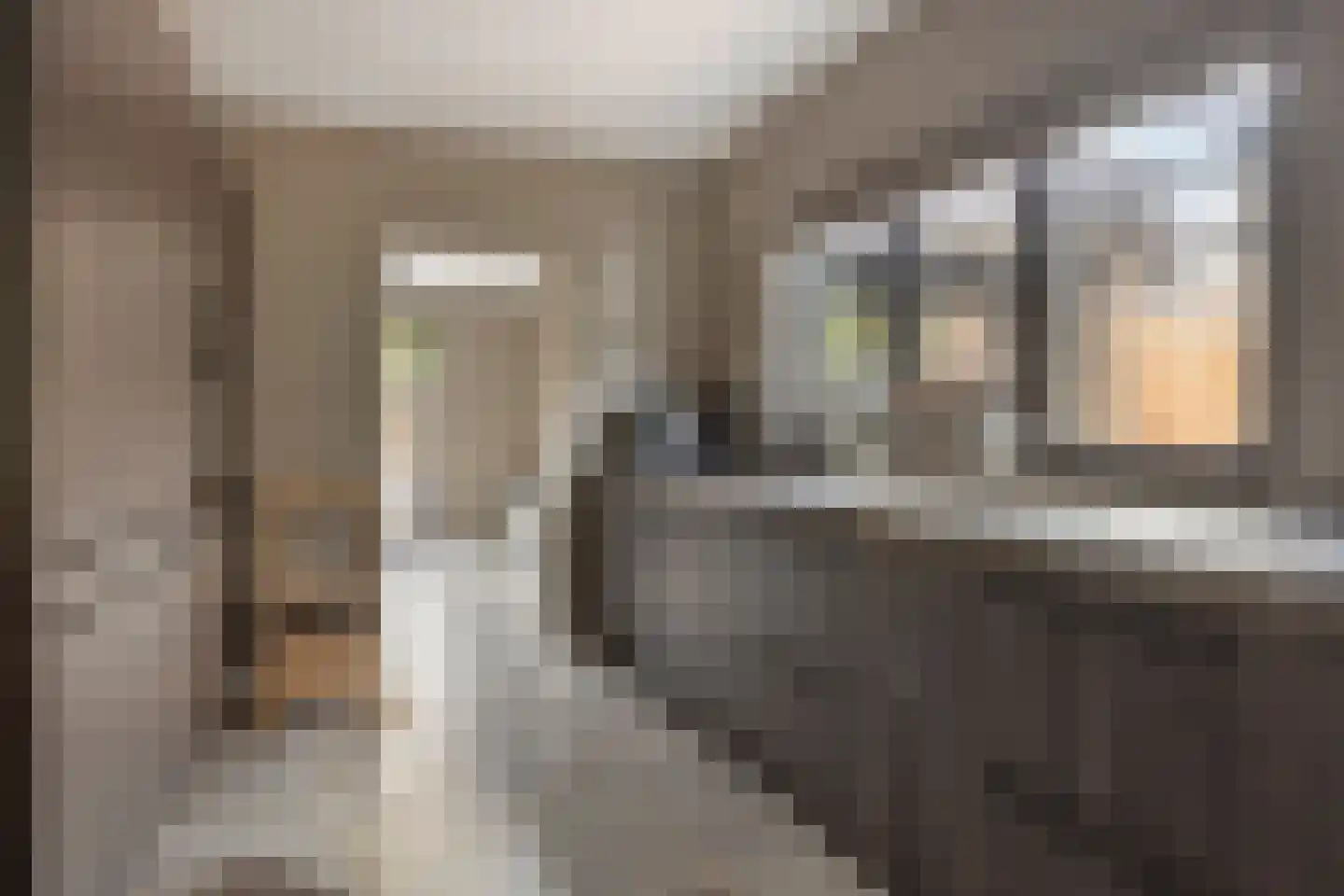 Binnenpad 9 Halsteren thumbnail 11