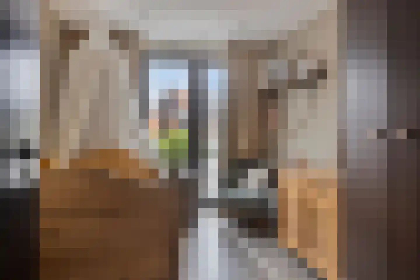 Binnenpad 9 Halsteren thumbnail 20