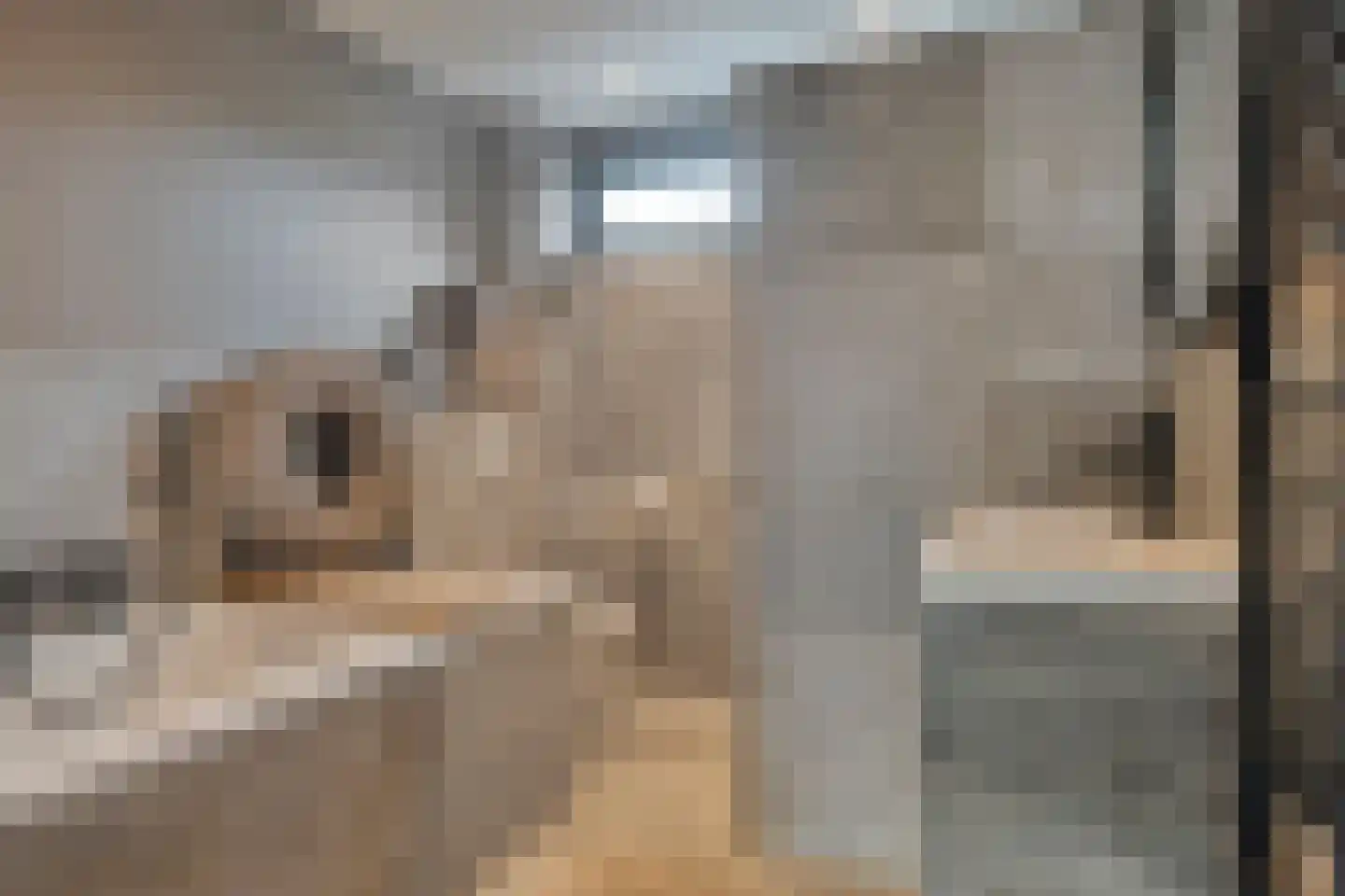 Binnenpad 9 Halsteren thumbnail 22