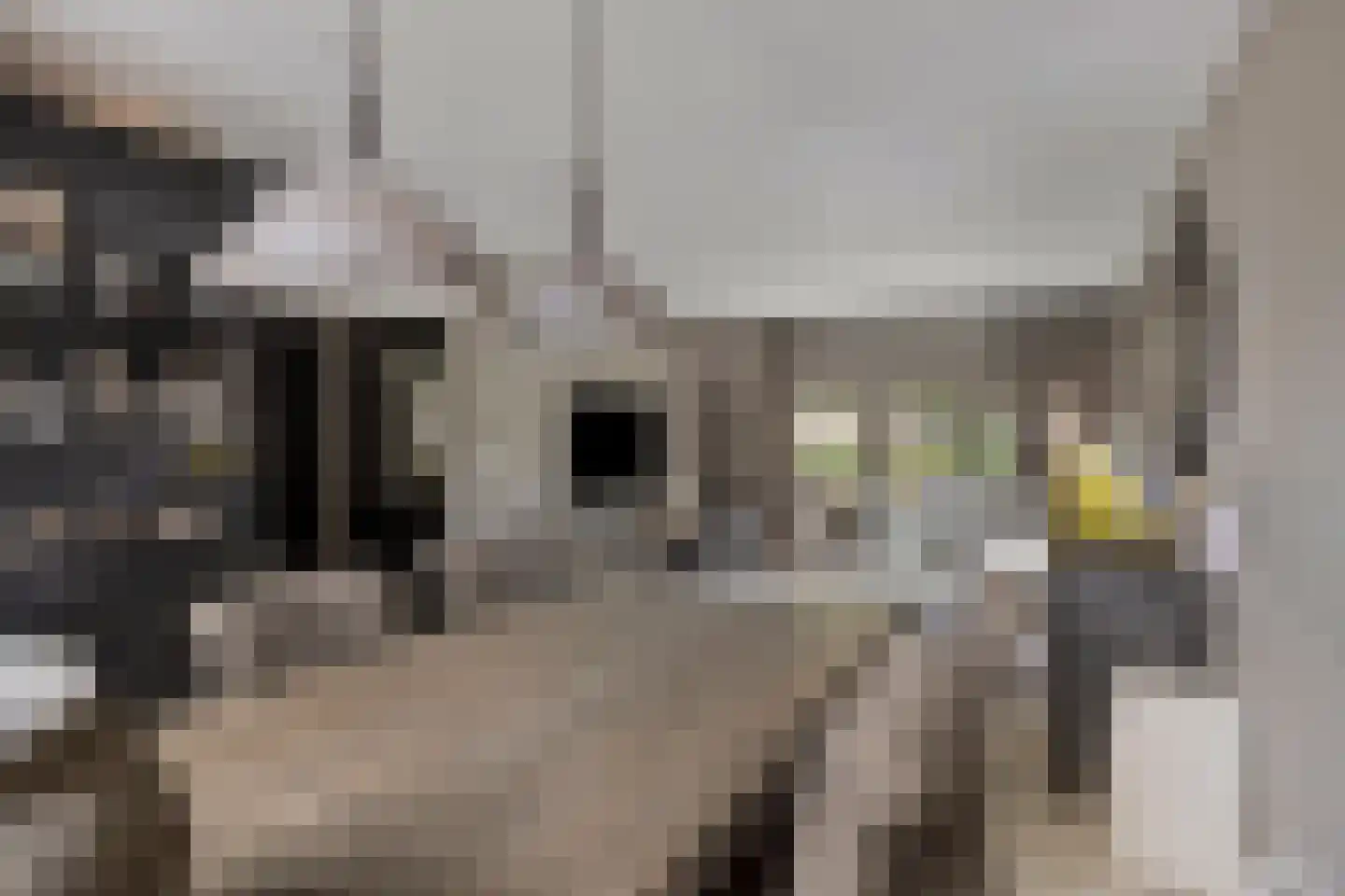 Binnenpad 9 Halsteren thumbnail 4