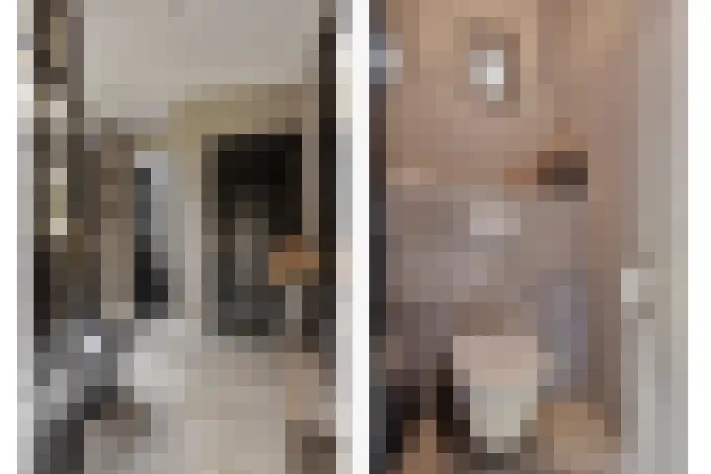 Binnenpad 9 Halsteren thumbnail 6