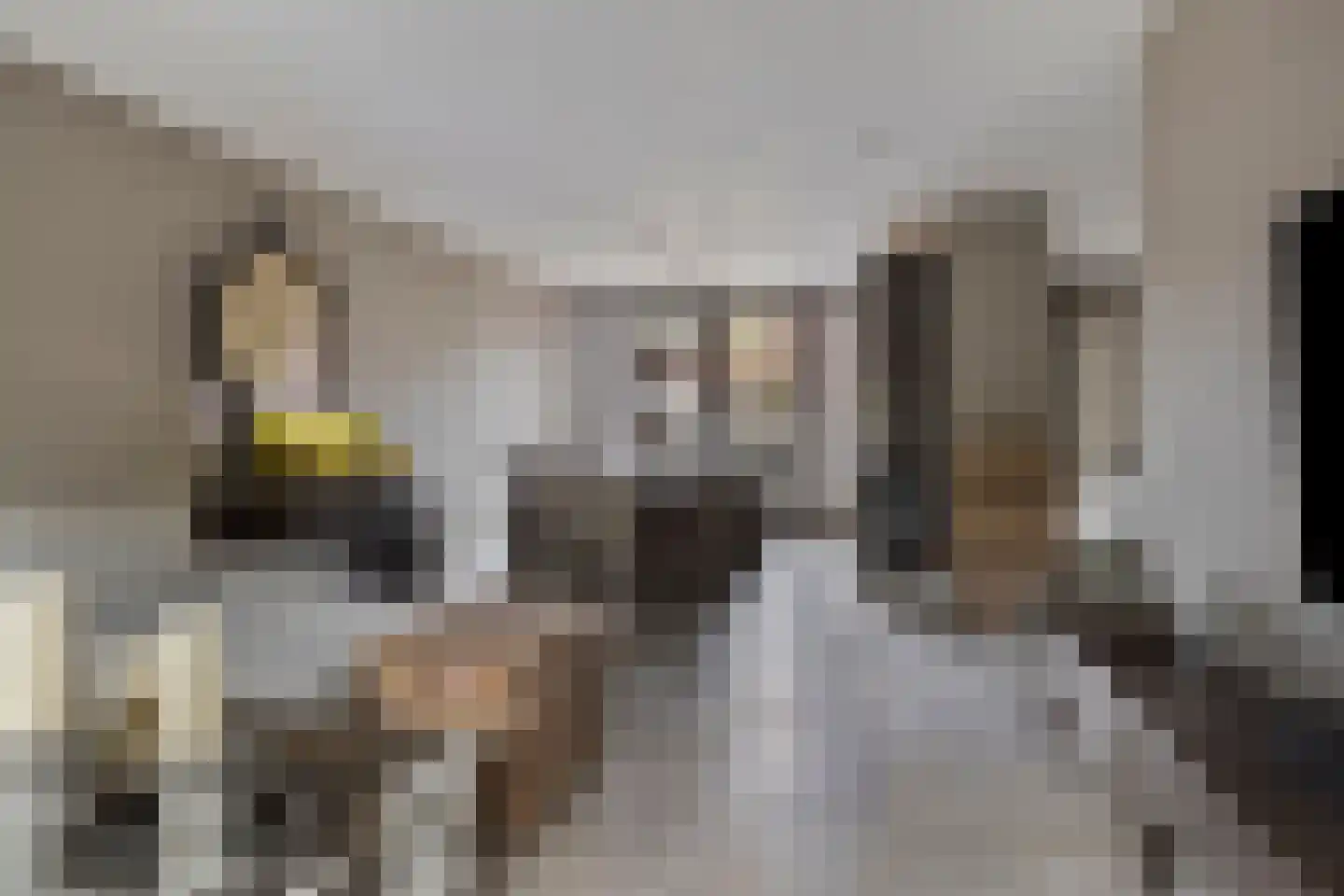 Binnenpad 9 Halsteren thumbnail 8