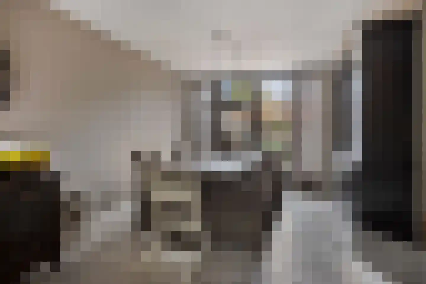 Binnenpad 9 Halsteren thumbnail 9