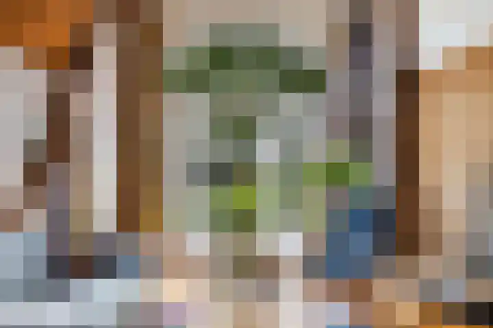 Binnenpaed 46 Jutrijp thumbnail 10