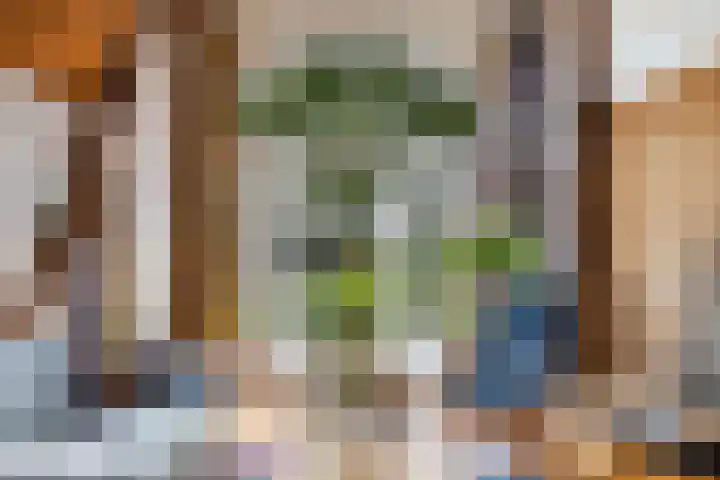 Binnenpaed 46 Jutrijp foto 2