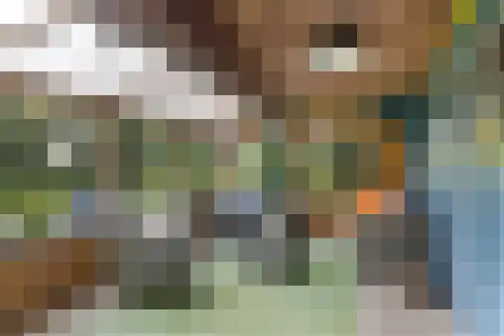 Binnenpaed 46 Jutrijp thumbnail 20