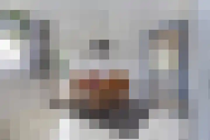 Binnenpaed 46 Jutrijp thumbnail 22